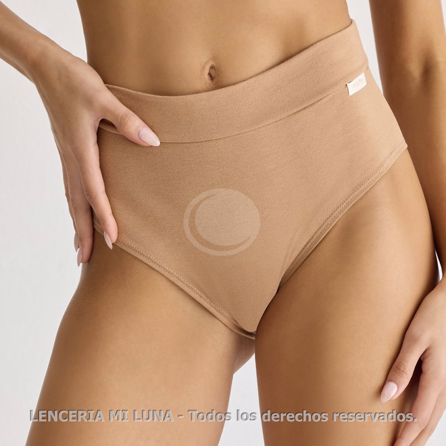 BRIGITTE pack x2 culotte de algodón & lycra con cintura doble
