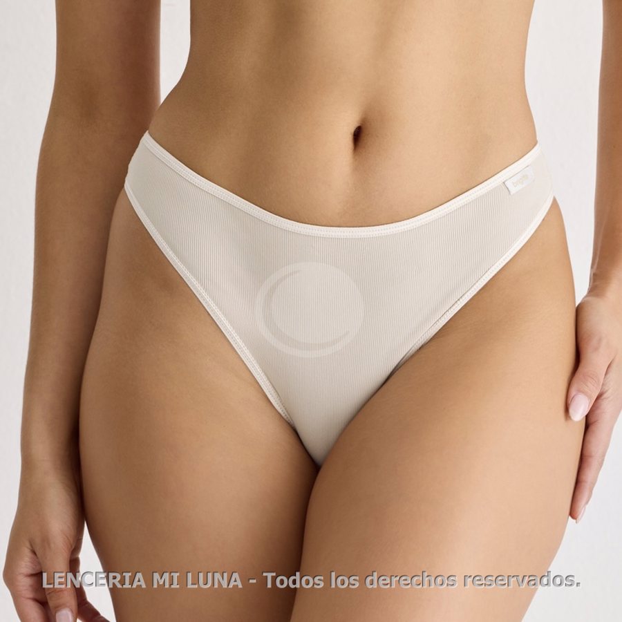 BRIGITTE Vedetina de Morley Pack x3